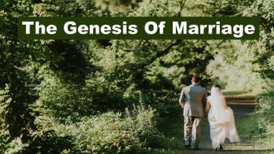 Family Focused - The Genesis of Marriage