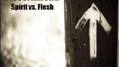 Discernment:  Spirit And Flesh