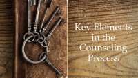 Key Elements in The Counseling Process